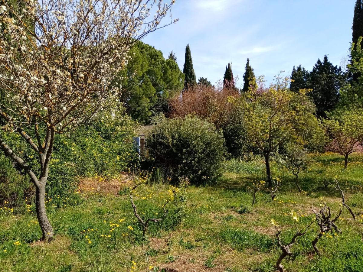 Au Mas Saint Pierre Hotel Pignans ภายนอก รูปภาพ